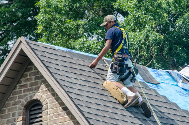 Best Roof Maintenance Services  in Steubenville, OH